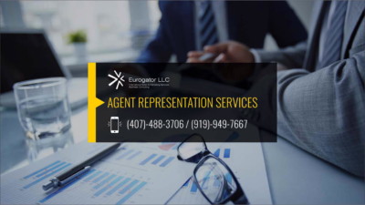 Agent Representation Services in the USA
